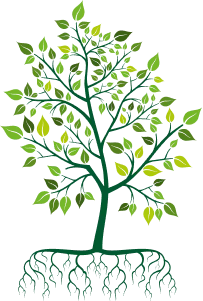 ecoqualityinc2146308