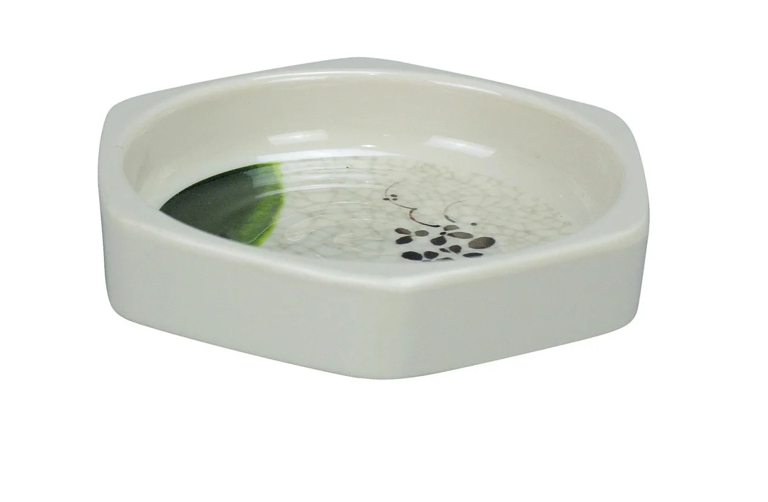 ecoqualityinc2172507