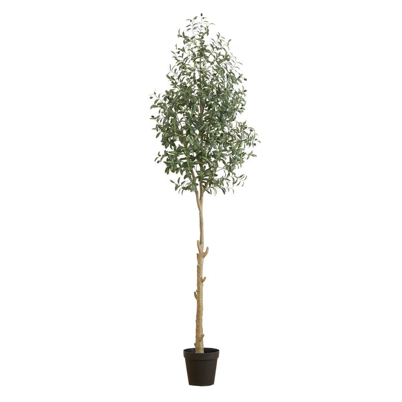 hubert3556167