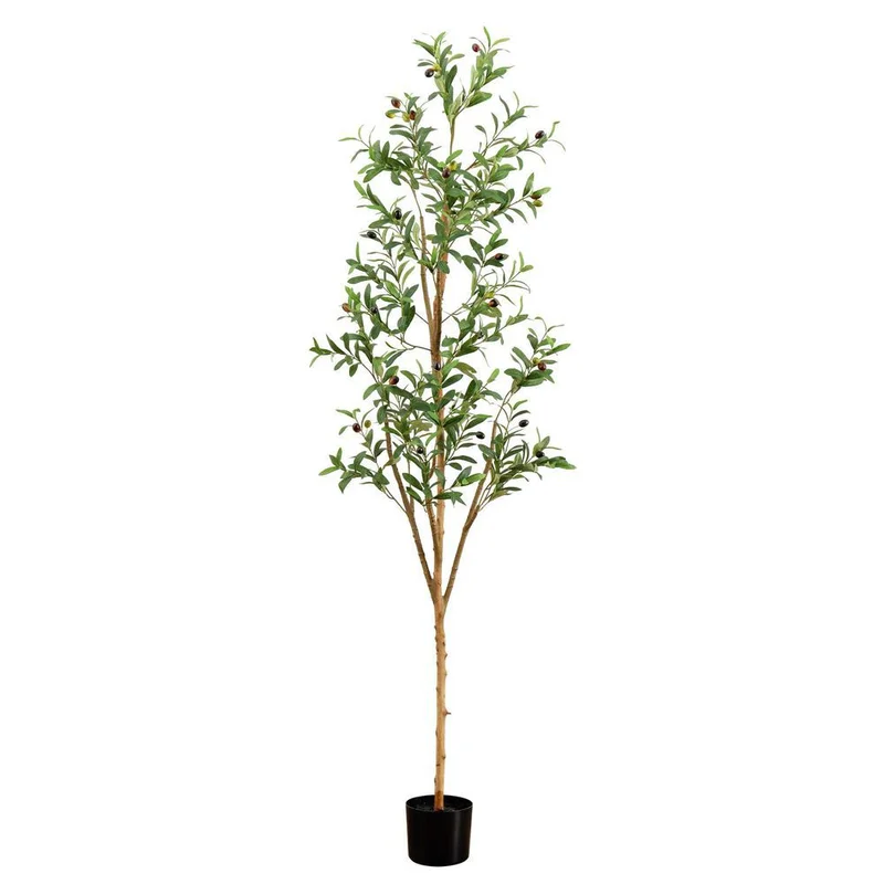 hubert3558186