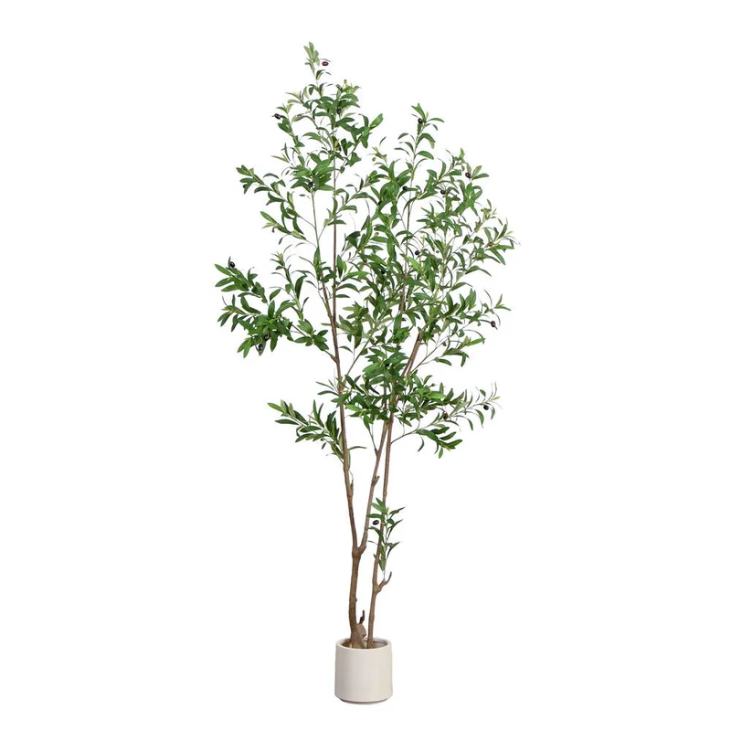 hubert3561361