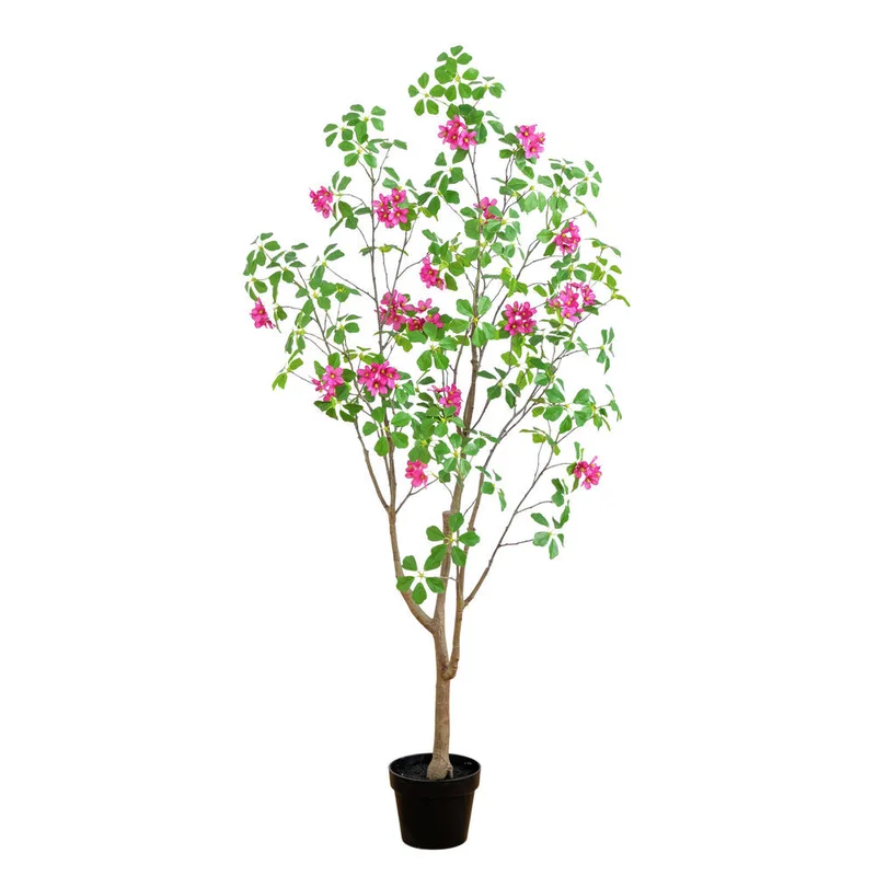 hubert3562036