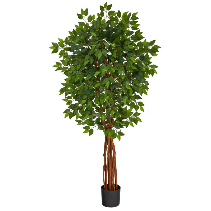 hubert3567281